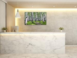 Obraz sklenený brezový les - 50 x 100 cm