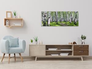 Obraz sklenený brezový les - 30 x 60 cm