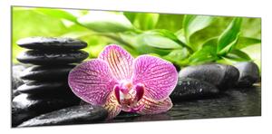 Obraz sklenený jeden kvet orchidey na zen kameňoch - 50 x 100 cm