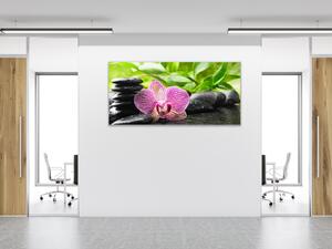 Obraz sklenený jeden kvet orchidey na zen kameňoch - 30 x 60 cm