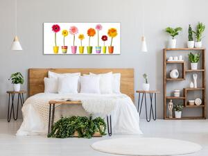 Obraz sklenený farebné gerbery v kvetináči - 50 x 100 cm