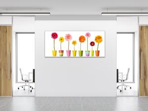 Obraz sklenený farebné gerbery v kvetináči - 50 x 100 cm