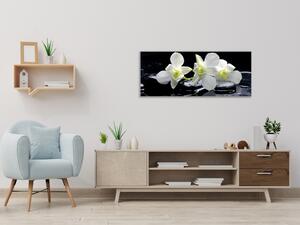 Obraz sklenený kvety biela orchidea na čiernom kameni - 50 x 100 cm
