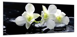Obraz sklenený kvety biela orchidea na čiernom kameni - 40 x 60 cm