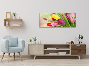 Obraz sklenený krásne kvety farebné tulipány - 30 x 60 cm