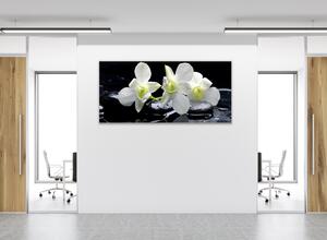 Obraz sklenený kvety biela orchidea na čiernom kameni - 30 x 60 cm