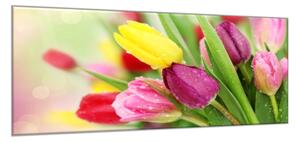 Obraz sklenený krásne kvety farebné tulipány - 65 x 90 cm