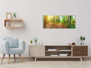 Obraz sklenený lesný chodník - 30 x 60 cm