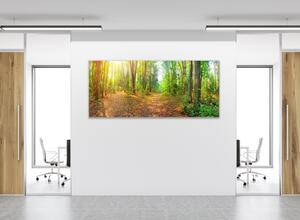 Obraz sklenený lesný chodník - 50 x 100 cm