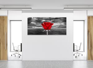 Obraz sklenený kvet červenej ruže na šedom pozadí - 30 x 40 cm