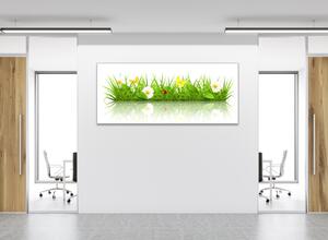 Obraz sklenený maľovaná rozkvitla lúka s lienkou - 50 x 100 cm