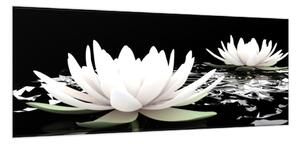 Obraz sklenený kvet biely lekno na hladine vody - 50 x 100 cm