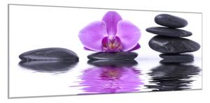 Obraz sklenený kvet fialová orchidea na hladine vody s kameňmi - 50 x 100 cm