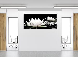 Obraz sklenený kvet biely lekno na hladine vody - 30 x 60 cm