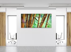 Obraz sklenený hnedý bambus a zelené pozadie - 34 x 72 cm