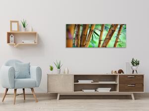 Obraz sklenený hnedý bambus a zelené pozadie - 34 x 72 cm