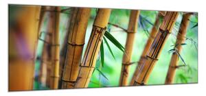 Obraz sklenený hnedý bambus a zelené pozadie - 30 x 40 cm