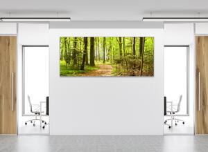 Obraz sklenený lesná cestička - 50 x 100 cm