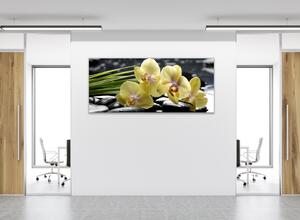 Obraz sklenený kvety žltá orchidea na čiernych kameňoch - 50 x 100 cm