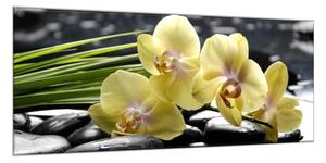 Obraz sklenený kvety žltá orchidea na čiernych kameňoch - 30 x 40 cm