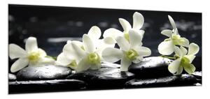 Obraz sklenený kvety biela orchidea na čiernom kameni - 52 x 60 cm
