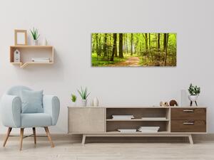 Obraz sklenený lesná cestička - 30 x 60 cm