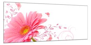 Obraz sklenený kvet ružovej gerbery na bielom pozadí - 50 x 100 cm