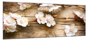 Obraz sklenený jarné vetvy s kvetmi na dreve - 65 x 110 cm