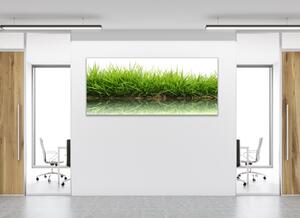 Obraz sklenený tráva s odrazom v hladine vody - 50 x 100 cm