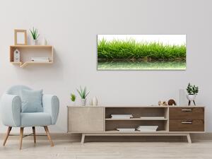 Obraz sklenený tráva s odrazom v hladine vody - 50 x 100 cm
