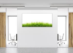 Obraz sklenený jarná tráva na bielom pozadí - 50 x 100 cm