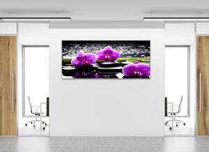 Obraz sklenený kvety fialovej orchidey na kameňoch a tráva - 50 x 100 cm
