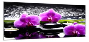 Obraz sklenený kvety fialovej orchidey na kameňoch a tráva - 34 x 72 cm