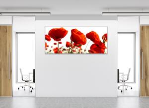 Obraz sklenený červené vlčie maky - 34 x 72 cm