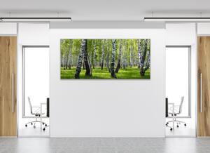 Obraz sklenený brezový les - 50 x 100 cm