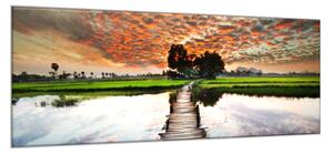 Obraz sklenený tropická rieka v západe slnka - 50 x 100 cm