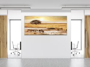 Obraz sklenený Safari a zebry - 50 x 100 cm