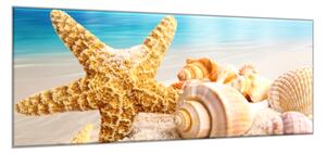 Obraz sklenený hviezdice a mušle na pláži - 30 x 60 cm