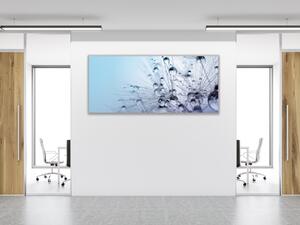 Obraz sklenený modré páperie púpavy s rosou - 30 x 60 cm
