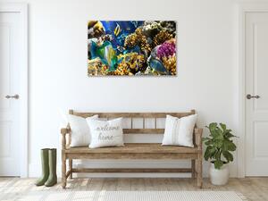 Obraz sklenený morský svet, ryby a koraly - 30 x 60 cm