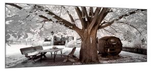 Obraz sklenený zimný strom a sud vína - 30 x 60 cm