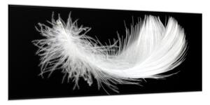 Obraz sklenený biele perie na čiernom podklade - 50 x 100 cm