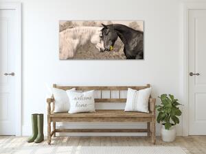 Obraz sklenený kôň biely a čierny - 30 x 60 cm