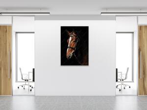 Obraz sklenený hnedý kôň s bielou lysinou - 34 x 72 cm