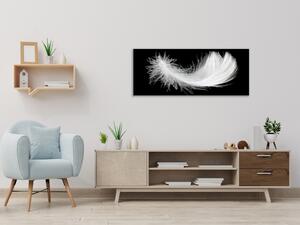 Obraz sklenený biele perie na čiernom podklade - 30 x 60 cm