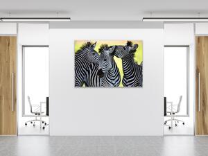Obraz sklenený tuliace sa zebry - 50 x 100 cm