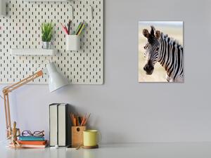 Obraz sklenený hlava zebry - 30 x 60 cm