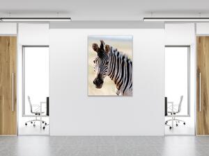 Obraz sklenený hlava zebry - 30 x 60 cm