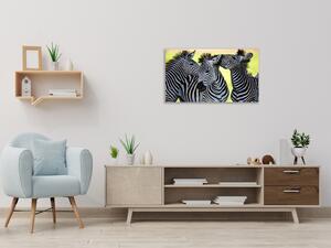 Obraz sklenený tuliace sa zebry - 50 x 100 cm