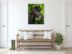 Obraz sklenený hlava čierneho koňa v prírode - 30 x 60 cm